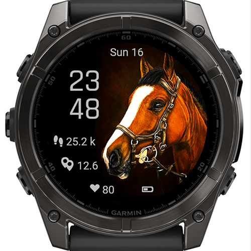 Horse Selfie Majesty G · Screenshot 2