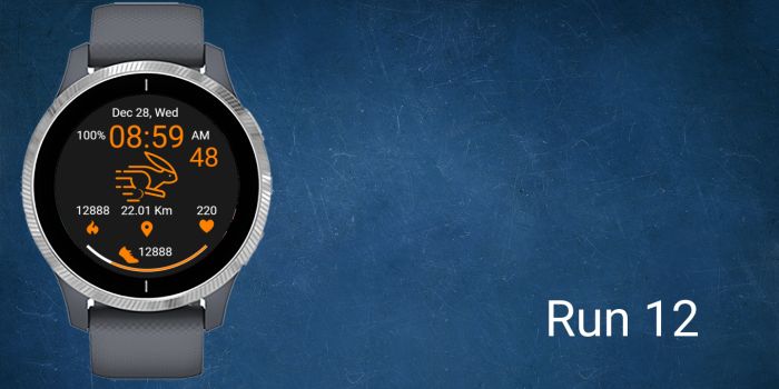 Run 12 · Screenshot 0