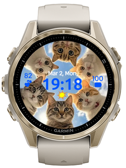 Six Cats · Screenshot 3