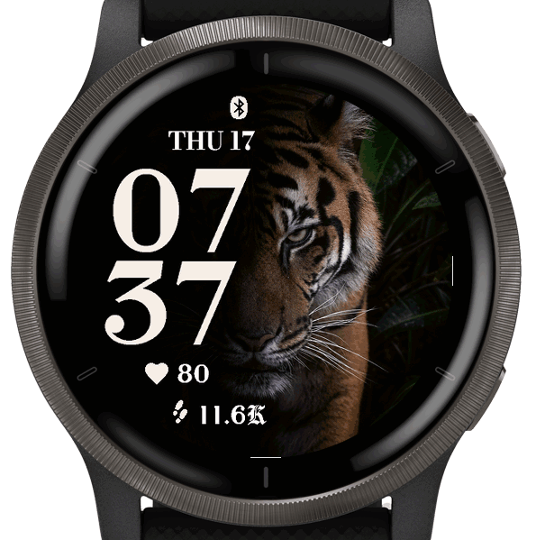 Tiger Noir · G · Screenshot 0