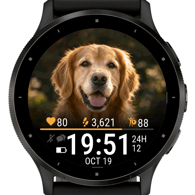 My Pet · Pawtrait · Screenshot 1