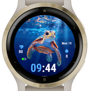 Turtle C2 · Screenshot 2