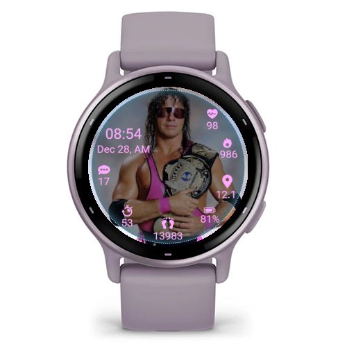 WWF Superstar Bret Hart 2