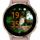 Pine Jay · Screenshot 2