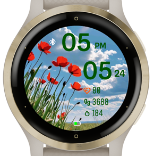 Poppy Sky 2