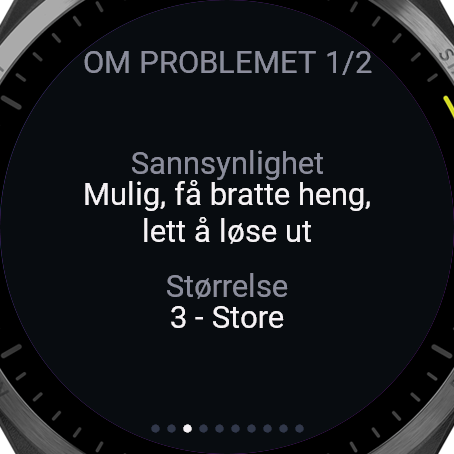Skredvarsel for randonée og topptur · Screenshot 2