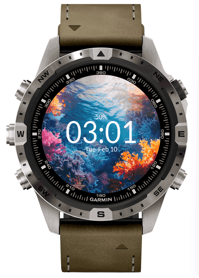 Coral Reef 4