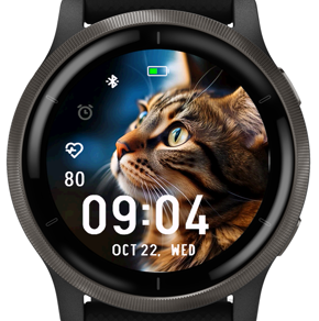 Tabby Cat · Screenshot 0