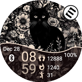 Black Cat In · Screenshot 4