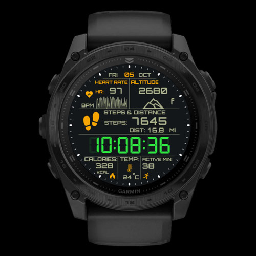 DIGITAL Ranger · Screenshot 0