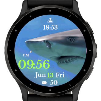 Shark Watch · Screenshot 0