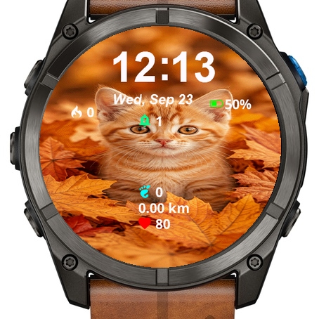 Kitten Sitting Middle · Screenshot 0