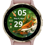 Koi Swim 3