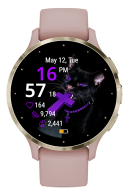 Eclipse Cat · Screenshot 1
