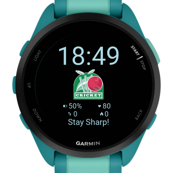 Cricket Watch Face- Customizable Sports Stats · Screenshot 2