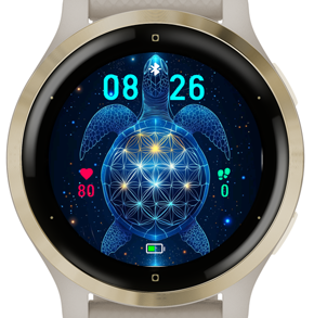 Turtle Galaxy · Screenshot 1