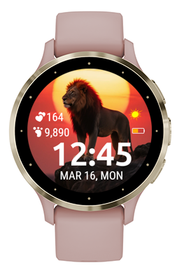 Sunset Lion · Screenshot 1
