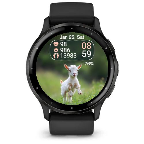 Mini Goat 4