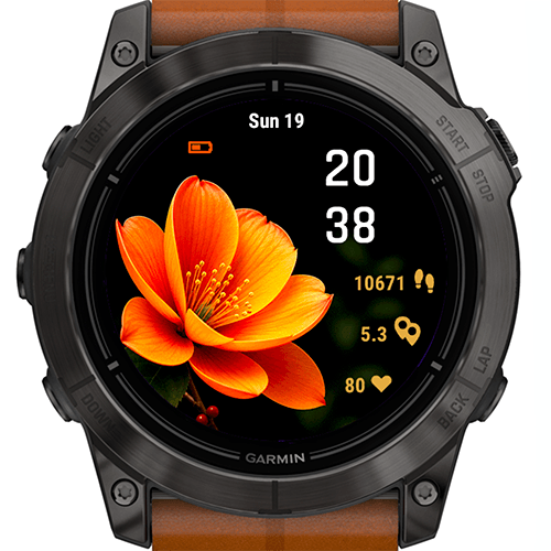 Golden Flower G · Screenshot 0