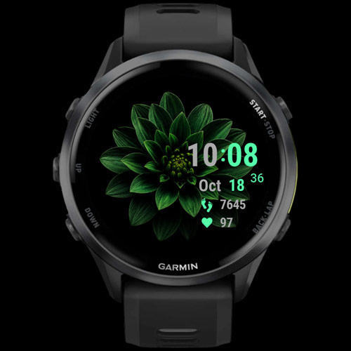 Emerald Bloom · Screenshot 0