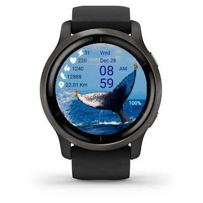 Whale 01 · Screenshot 1