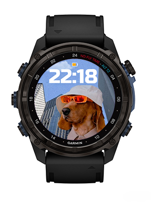 cool dog · Screenshot 0