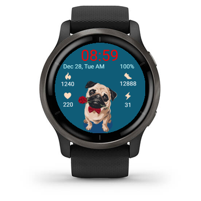 Dog - Pug · Screenshot 2