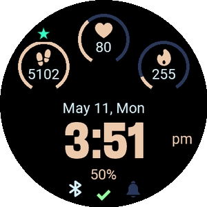 Triple Gauge Fitness · Screenshot 3