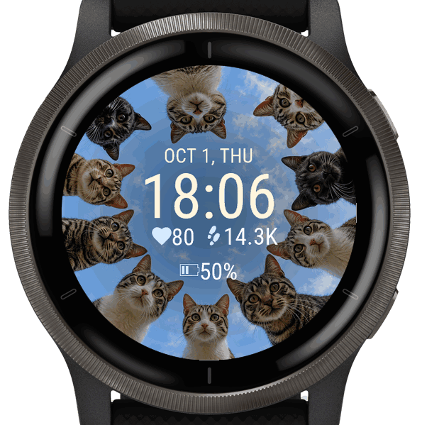 Cat Circle · Screenshot 3