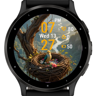 Mountain Bird · Screenshot 0