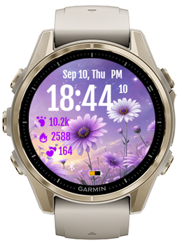 Purple Daisy · Screenshot 3