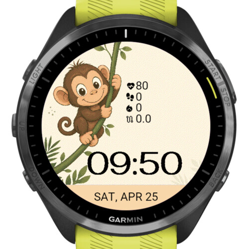 Happy Jungle Monkey 4