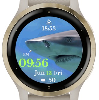 Shark Watch · Screenshot 3