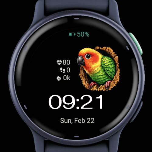 Tropical Parrot 2