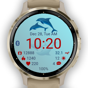 Dolphins · Screenshot 4