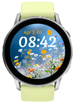 Daisy Meadow · Screenshot 3