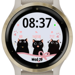 Black cute cat 2