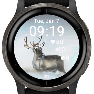 Arctic Deer · Screenshot 3