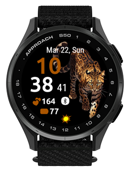 Leopard Print · Screenshot 2