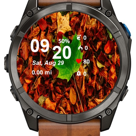 Close Up Leaf Laying Ground · Screenshot 0