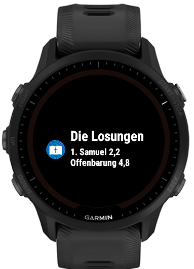 Die Losungen · Screenshot 2
