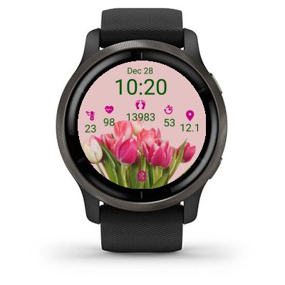 Pink Spring Tulips  6