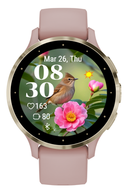 Flowers Birds · Screenshot 3