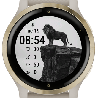 Lion Peak · Screenshot 3