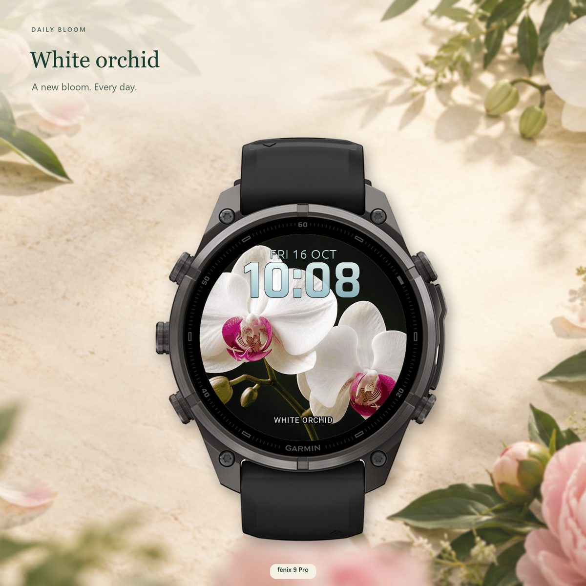 Daily Bloom · Snímek obrazovky 2