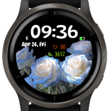 Rose Love 5