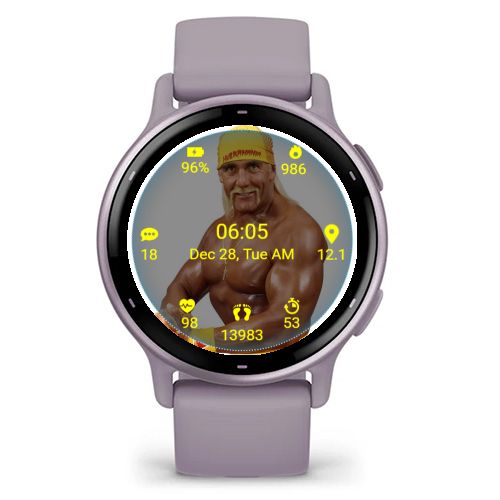 WWF Superstar Hulk Hogan 2