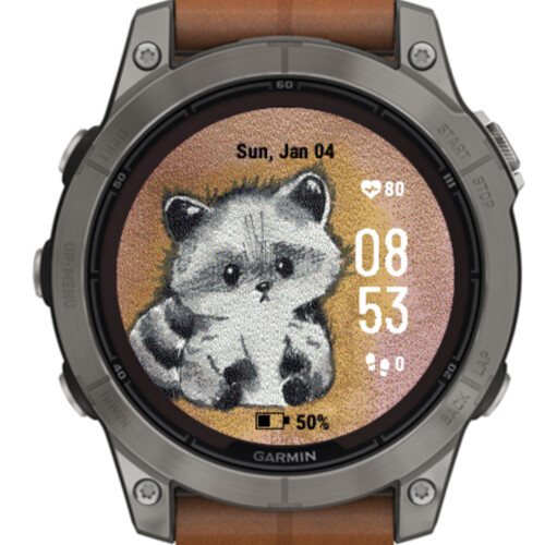 Watercolor Cute Raccoon · Screenshot 0
