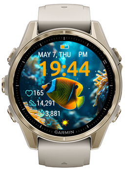 Reef Fish 3
