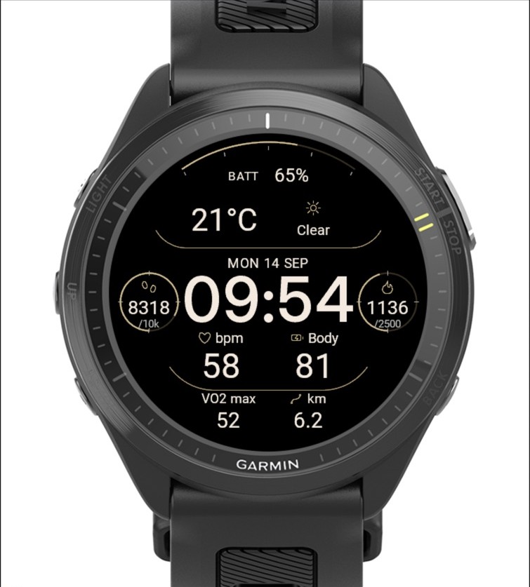 Dialform Data Watch Face · Screenshot 0
